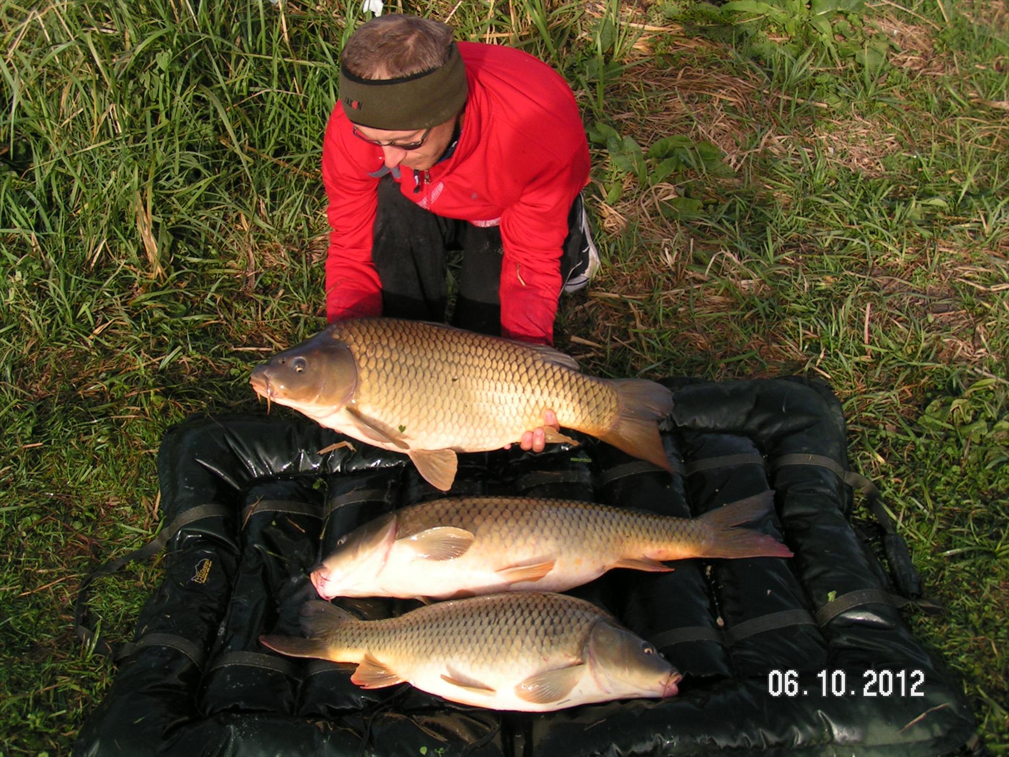 Lates 4-6.10.2012 - pict1181.JPG